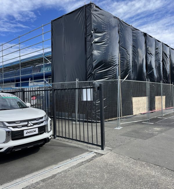 Asbestos Removal Services